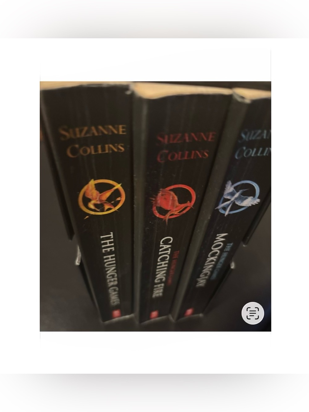 The Hunger Games Trilogy Book Set